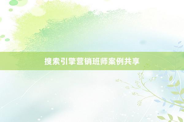 搜索引擎营销班师案例共享